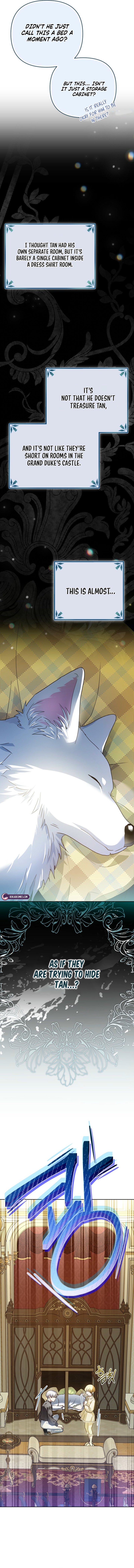 Travesti: I Became the Fake Prince Chapter 15 page 5 - 