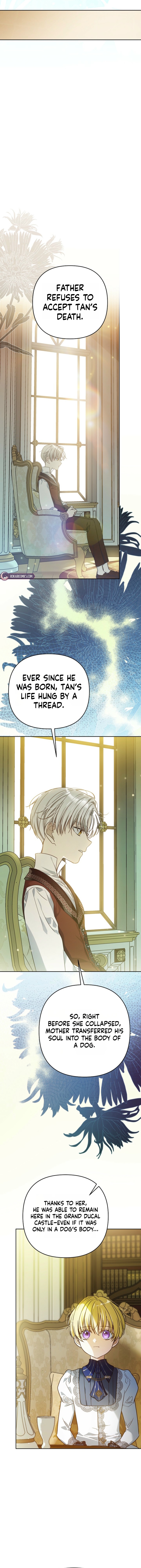 Travesti: I Became the Fake Prince Chapter 16 page 18 - 