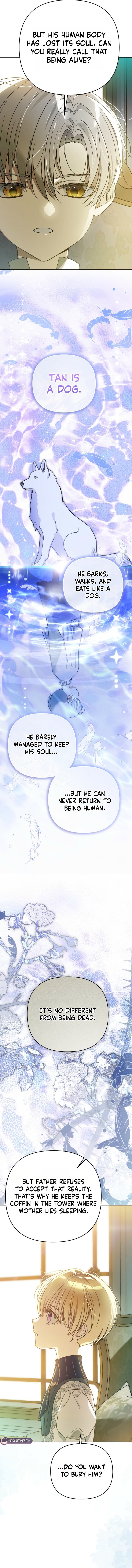Travesti: I Became the Fake Prince Chapter 16 page 19 - 