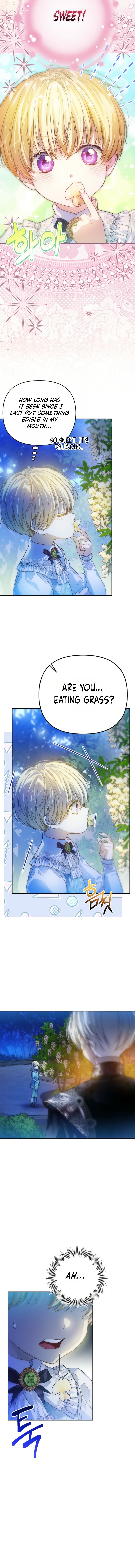 Travesti: I Became the Fake Prince Chapter 4 page 6 - 