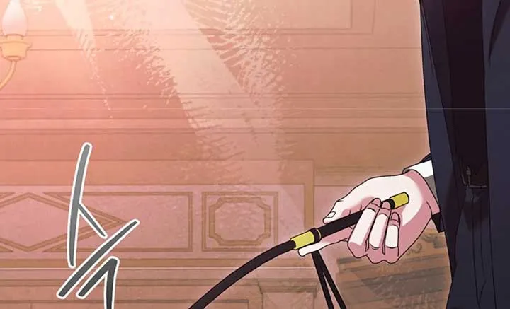 Try Begging Me Chapter 37 page 216 - 