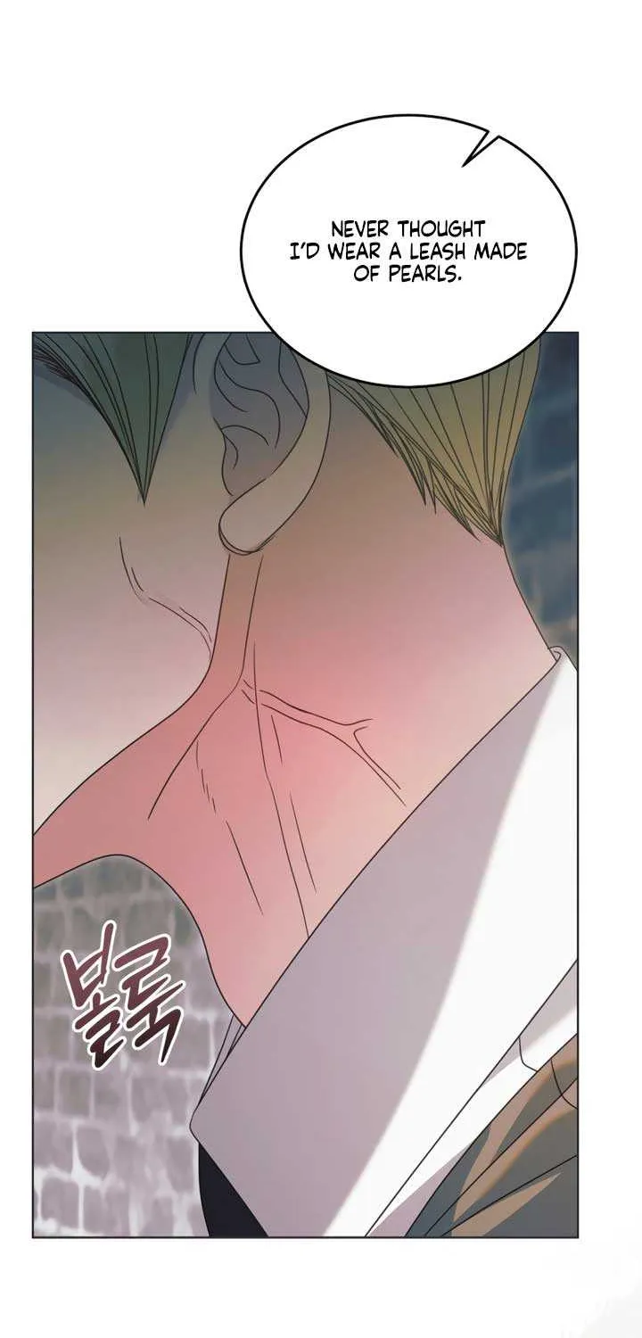 Try Begging Me Chapter 54 page 80 - 