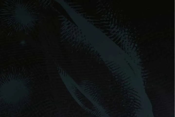 Try Begging Me Chapter 63 page 121 - 