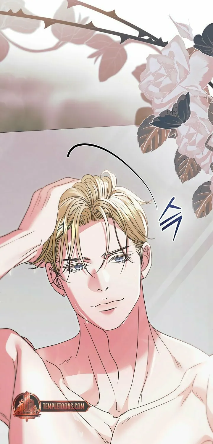 Try Begging Chapter 41 page 25 - 
