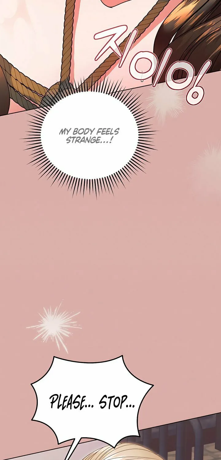 Try Begging Chapter 45 page 66 - 