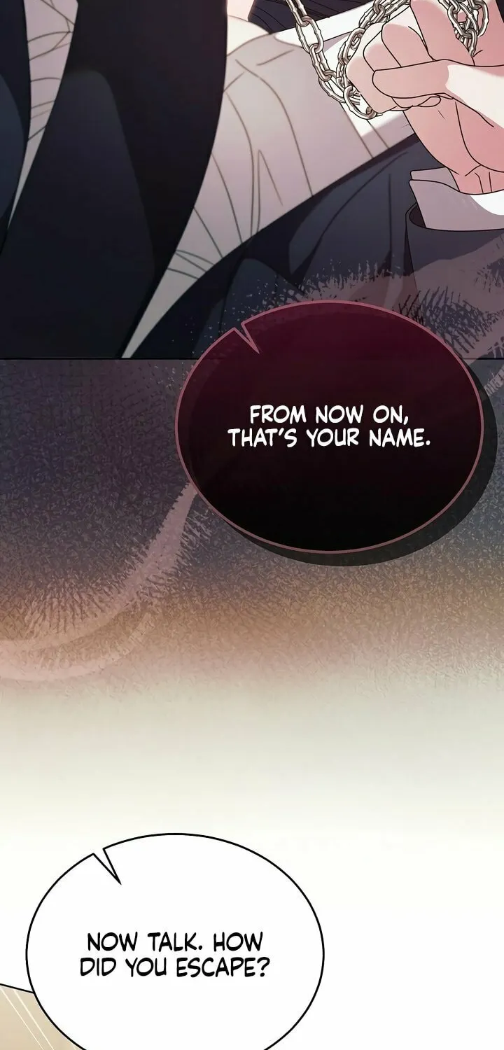 Try Begging Chapter 51 page 87 - 