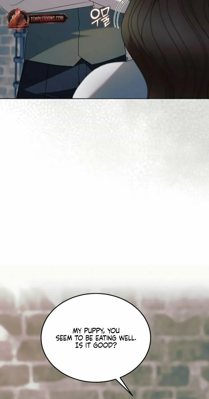 Try Begging Chapter 54 page 25 - 