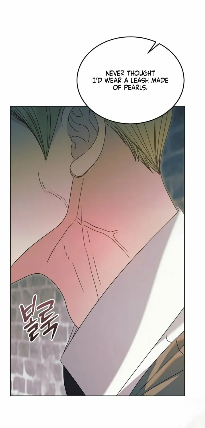 Try Begging Chapter 54 page 79 - 