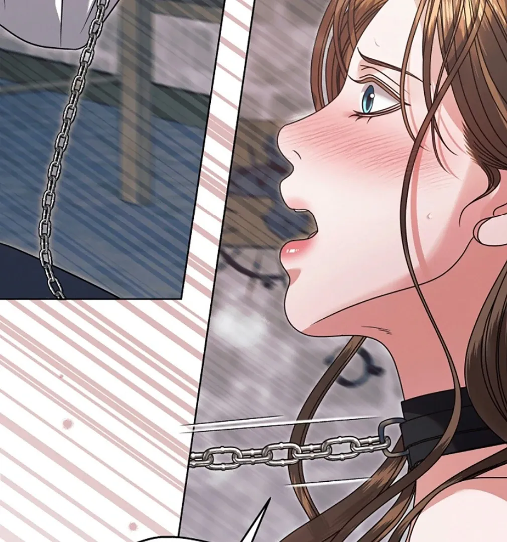 Try Begging Chapter 55 page 24 - 