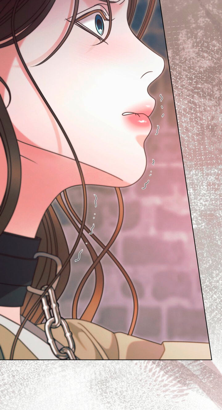 Try Begging Chapter 76 page 43 - 