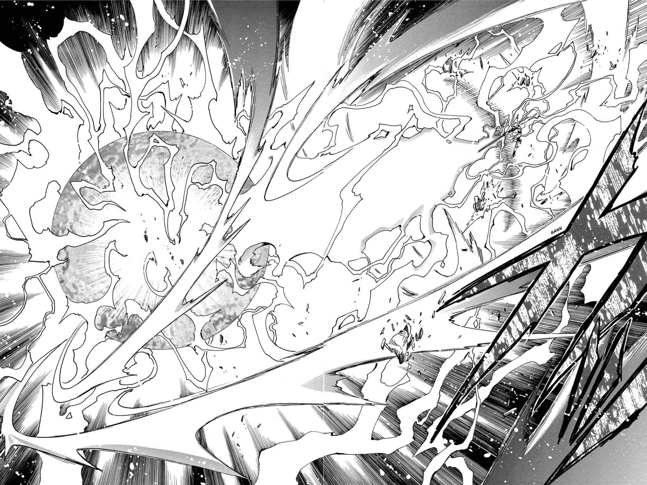 Tsubasa RESERVoir CHRoNiCLE Chapter 173 page 2 - 