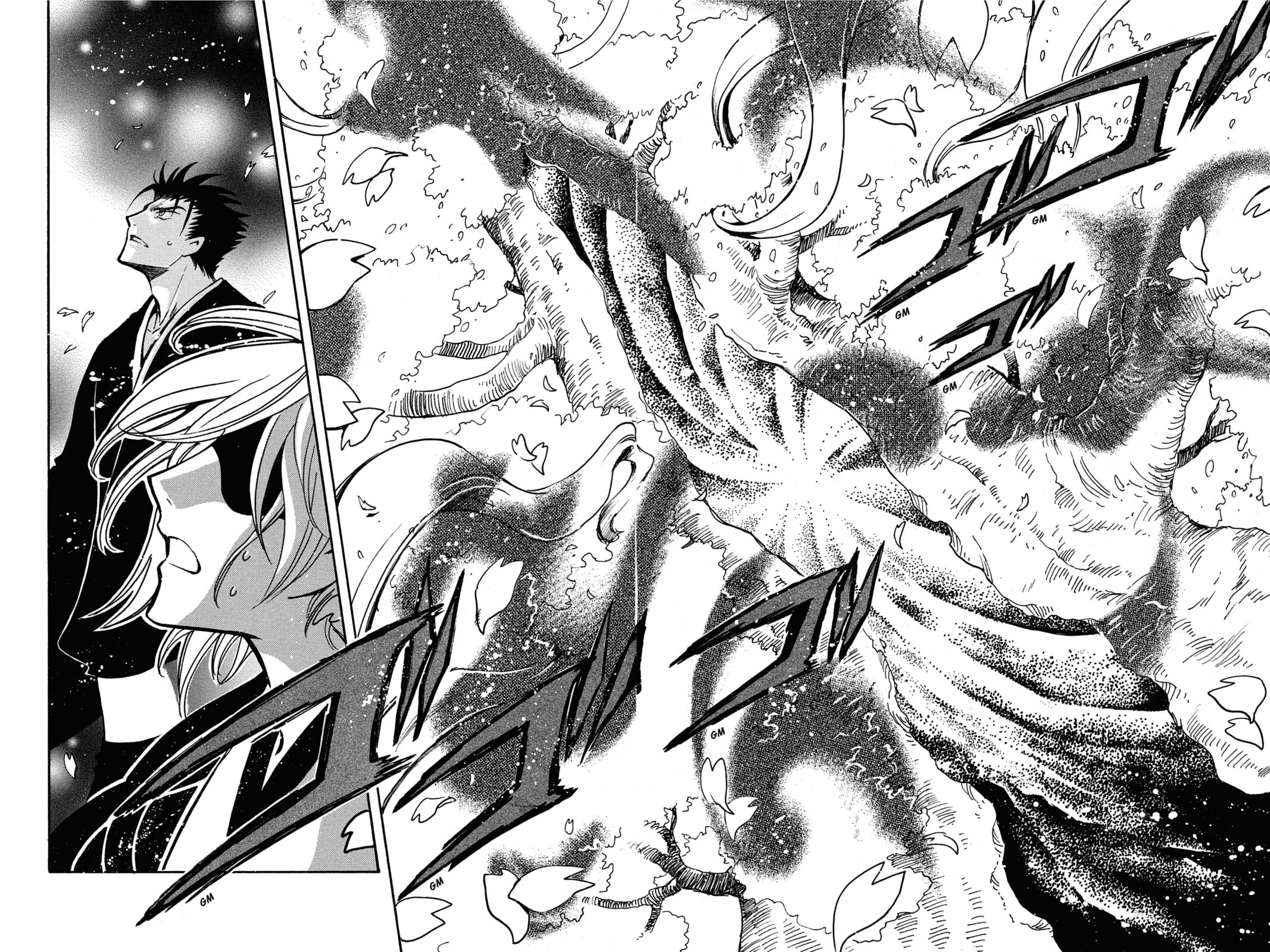 Tsubasa RESERVoir CHRoNiCLE Chapter 176 page 10 - 