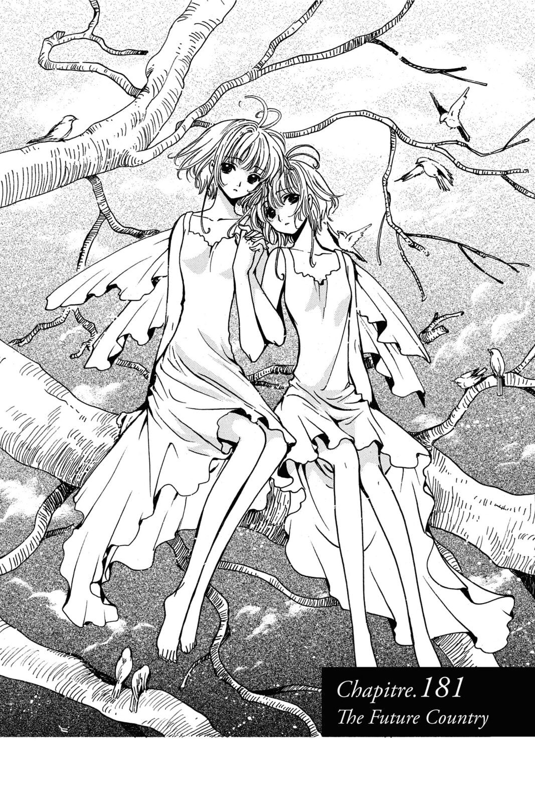 Tsubasa RESERVoir CHRoNiCLE Chapter 181 page 1 - 