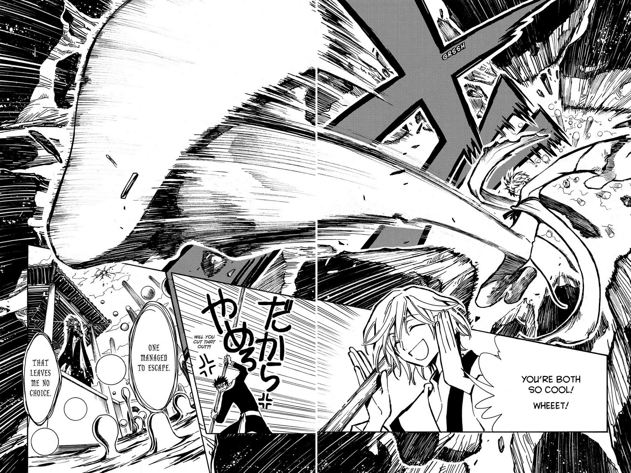 Tsubasa RESERVoir CHRoNiCLE Chapter 19 page 17 - 