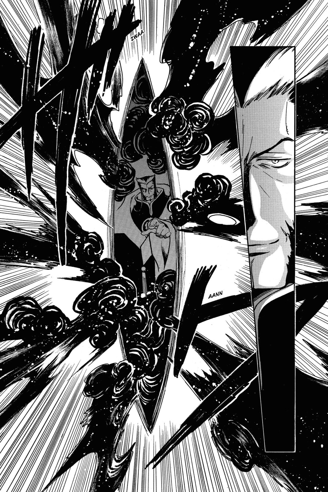Tsubasa RESERVoir CHRoNiCLE Chapter 195 page 13 - 