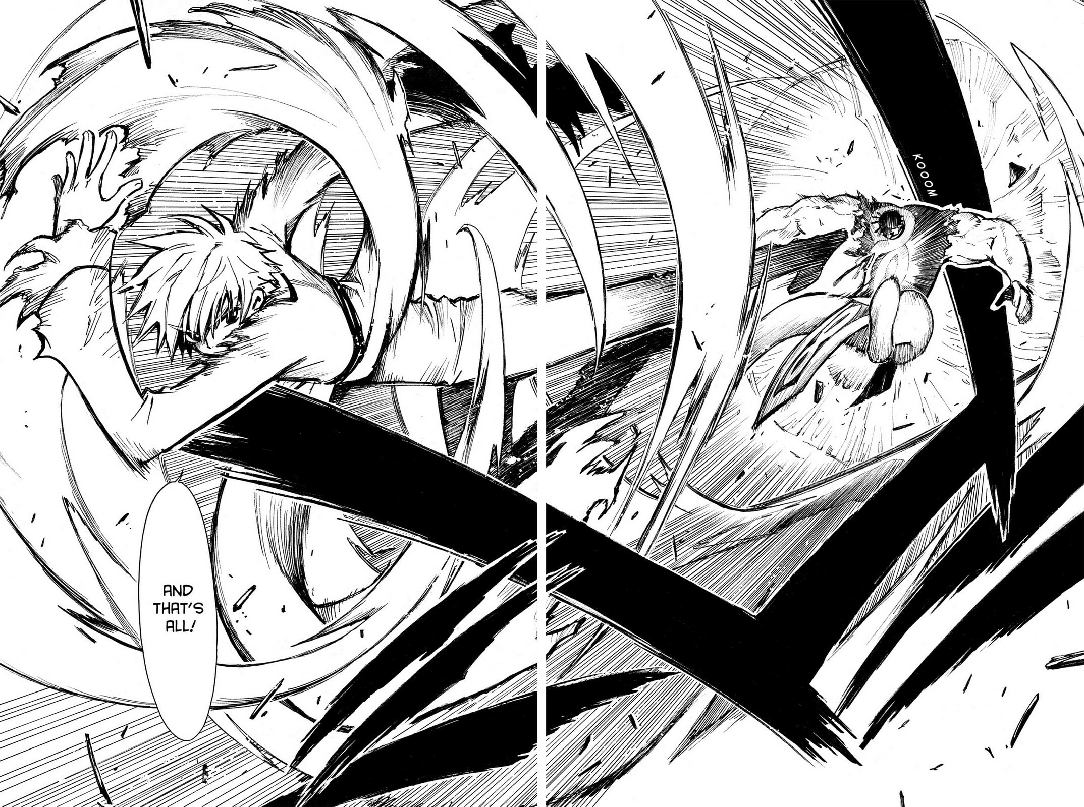 Tsubasa RESERVoir CHRoNiCLE Chapter 20 page 27 - 