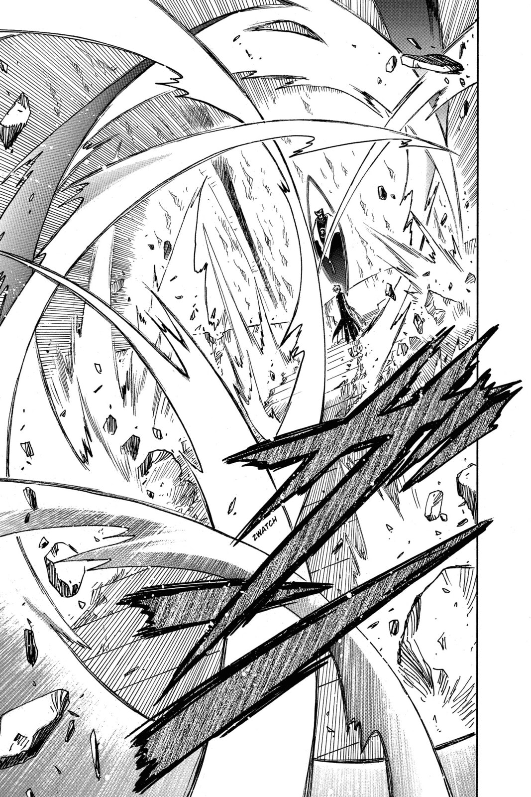 Tsubasa RESERVoir CHRoNiCLE Chapter 205 page 14 - 