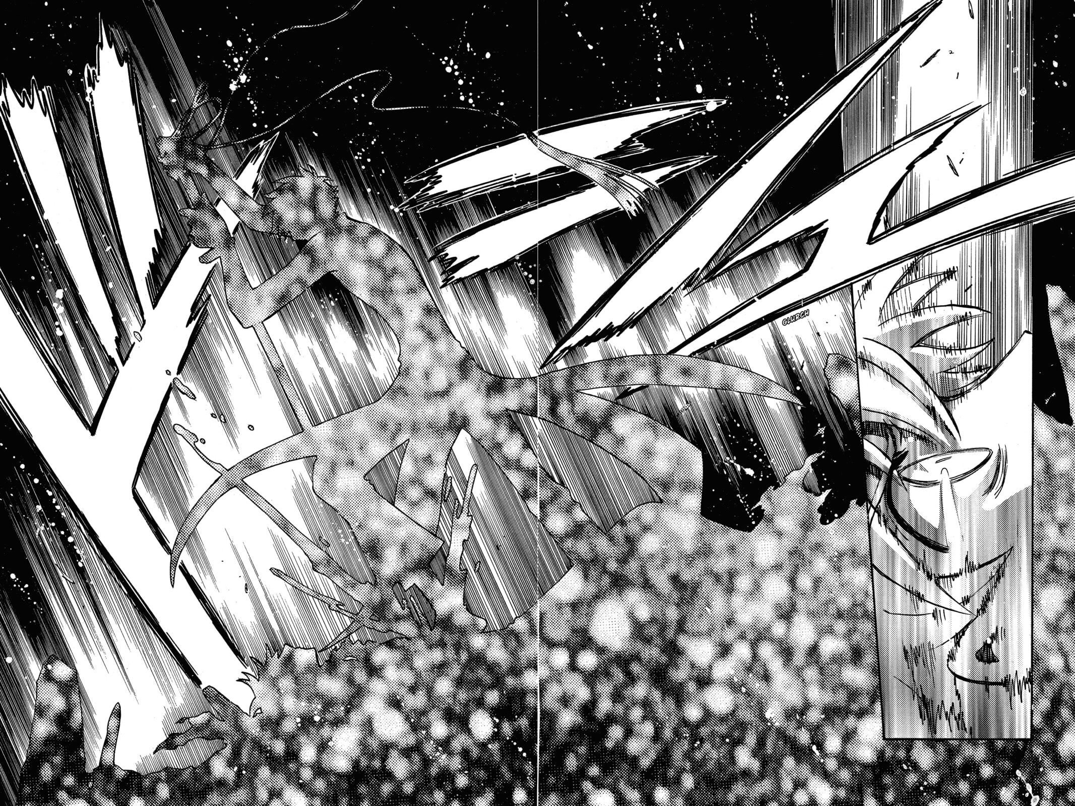 Tsubasa RESERVoir CHRoNiCLE Chapter 208 page 6 - 