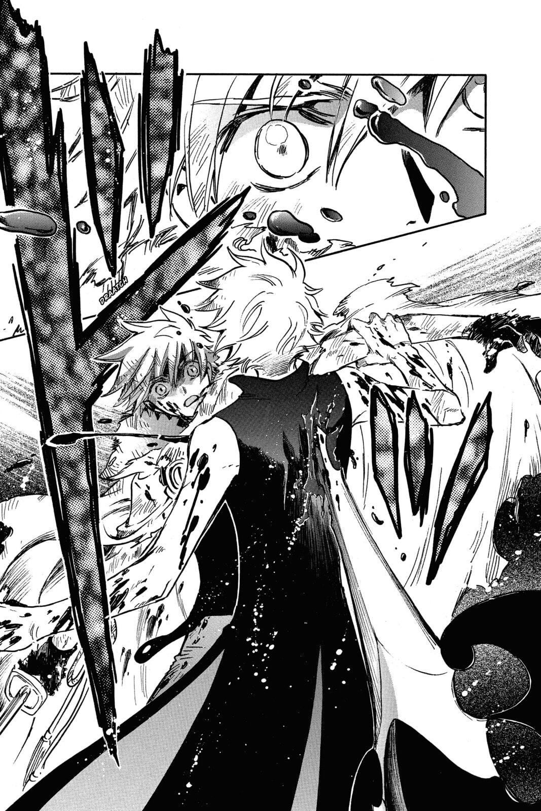Tsubasa RESERVoir CHRoNiCLE Chapter 209 page 13 - 