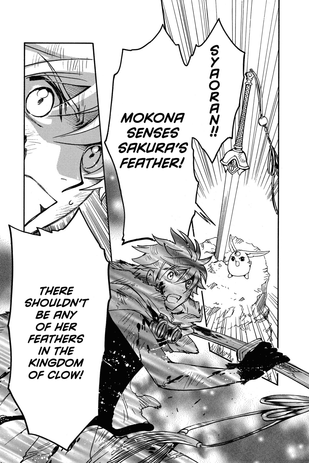 Tsubasa RESERVoir CHRoNiCLE Chapter 212 page 13 - 