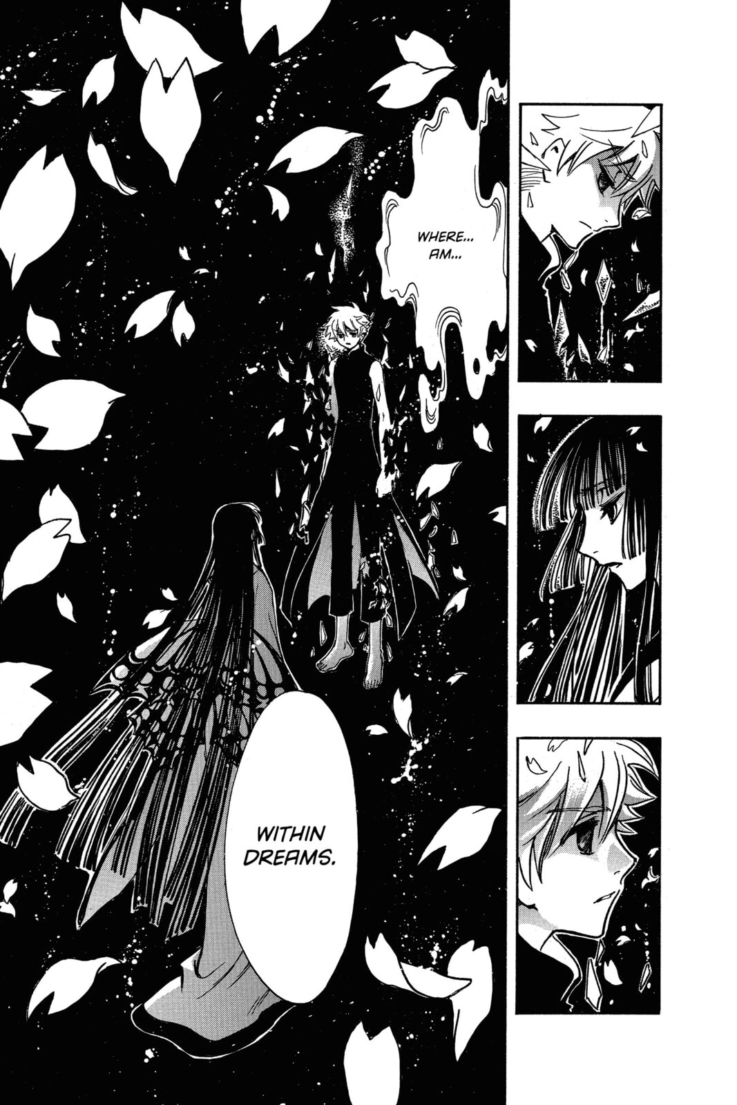 Tsubasa RESERVoir CHRoNiCLE Chapter 219 page 14 - 