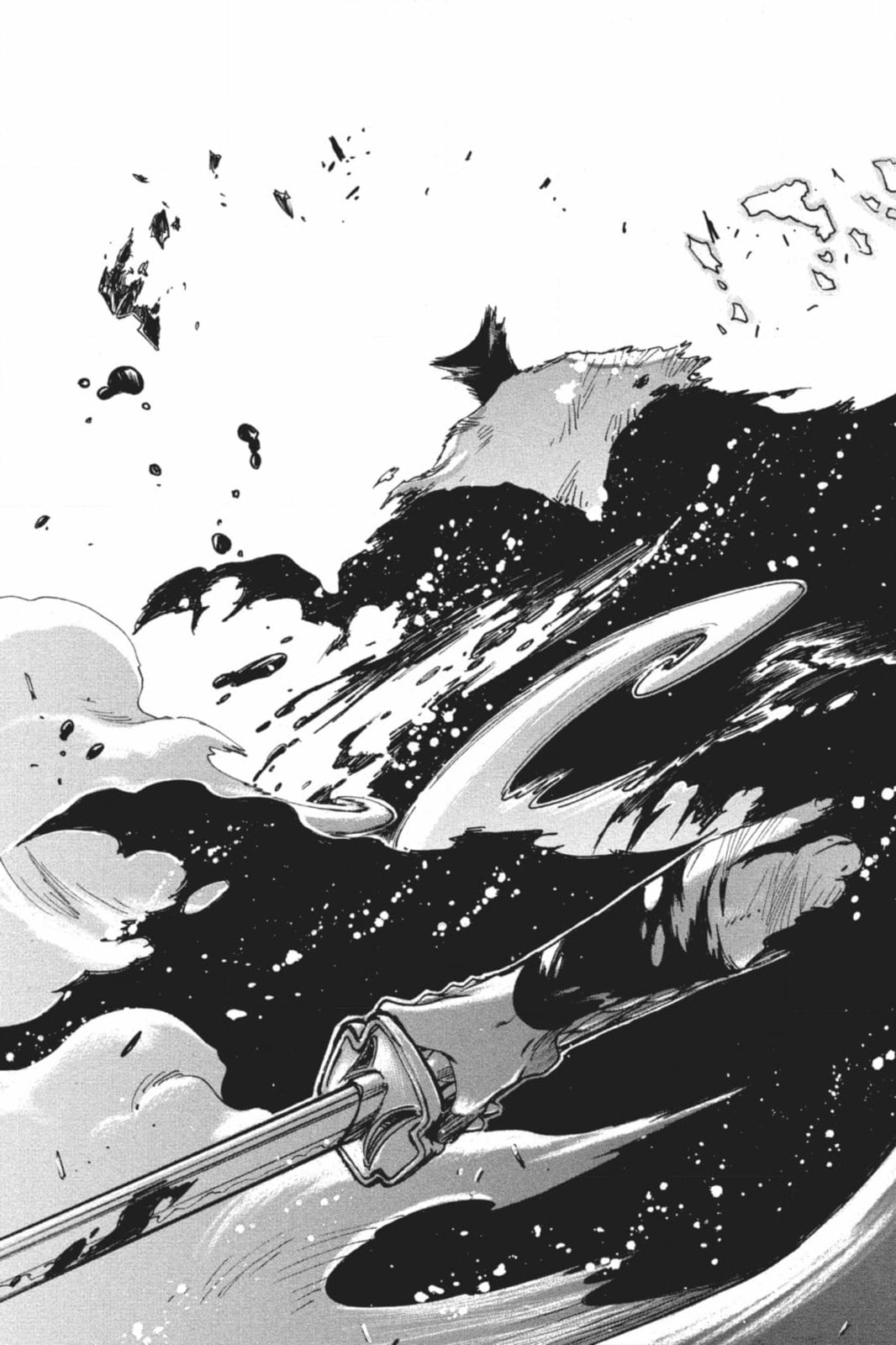 Tsubasa RESERVoir CHRoNiCLE Chapter 222 page 13 - 