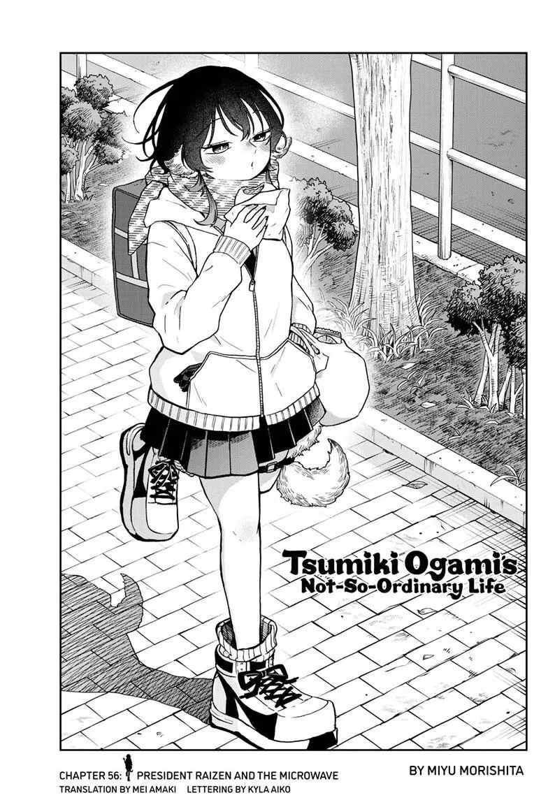 Tsumiki Ogami