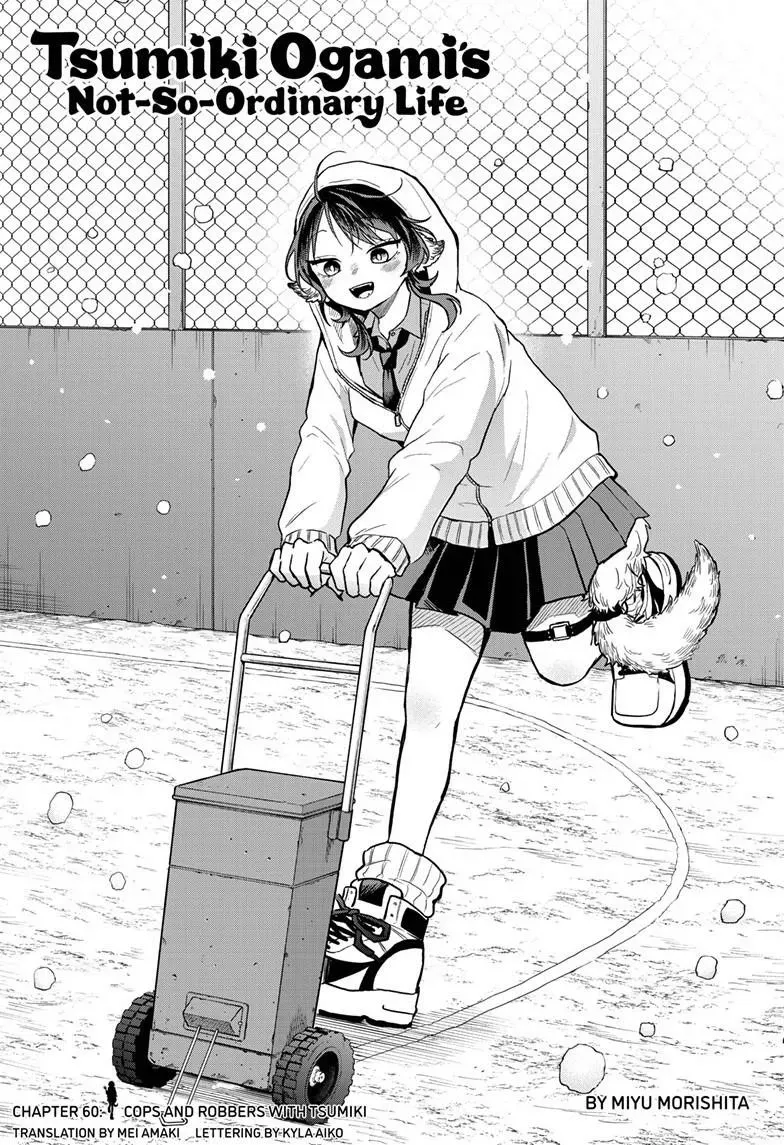 Tsumiki Ogami