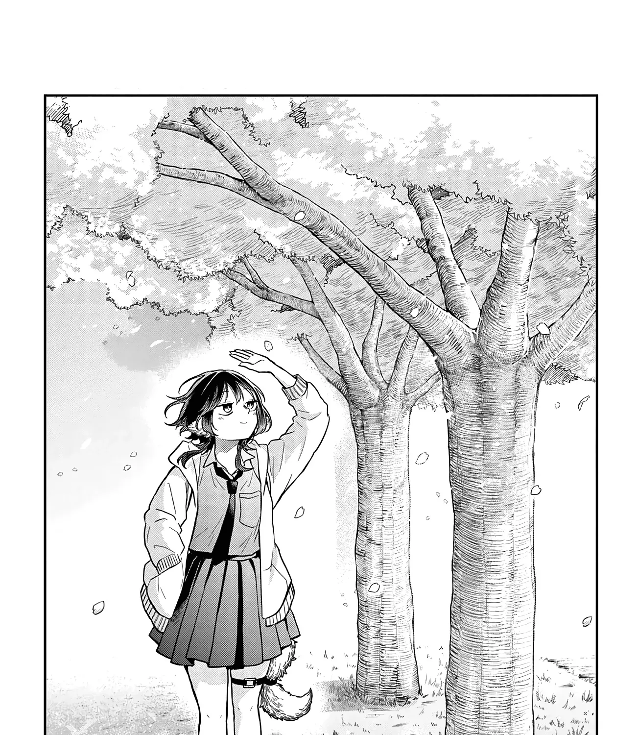 Tsumiki Ogami