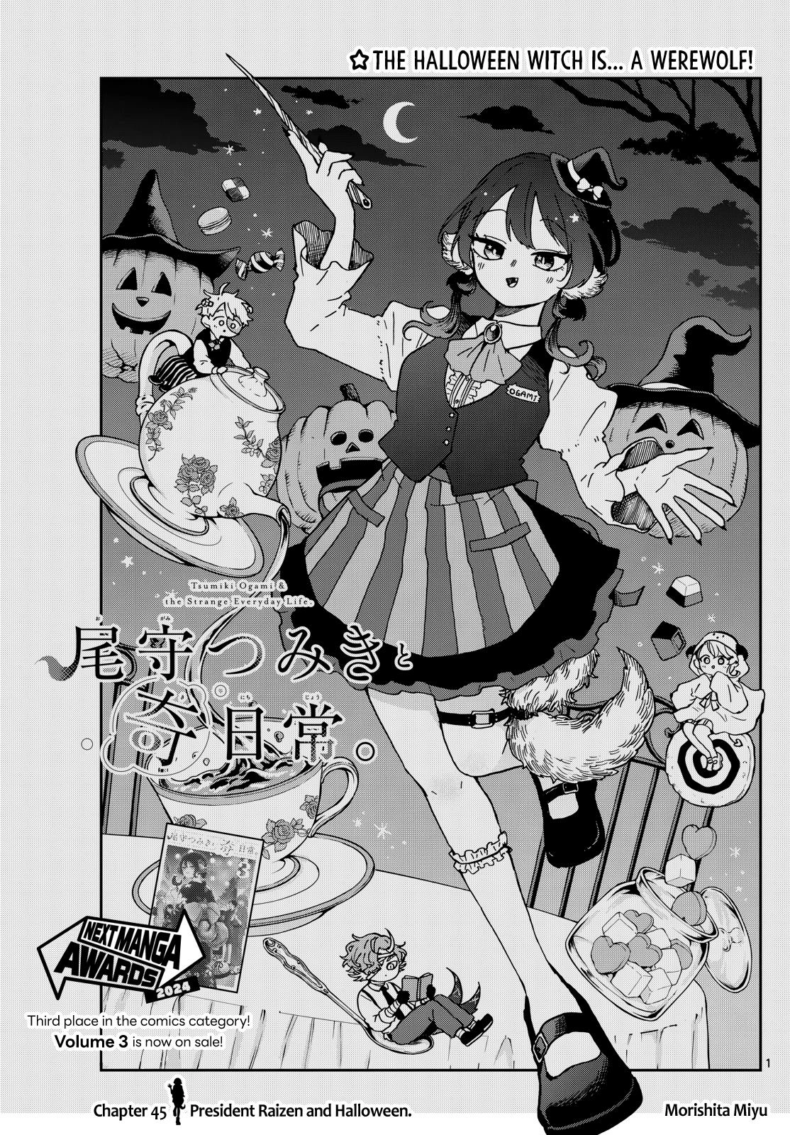 Tsumiki Ogami
