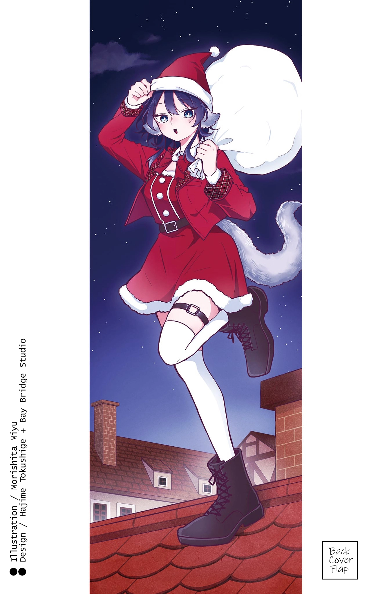 Tsumiki Ogami