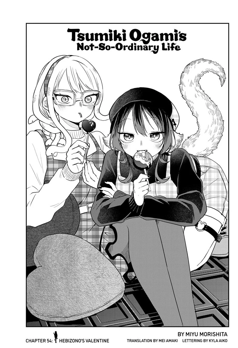 Tsumiki Ogami