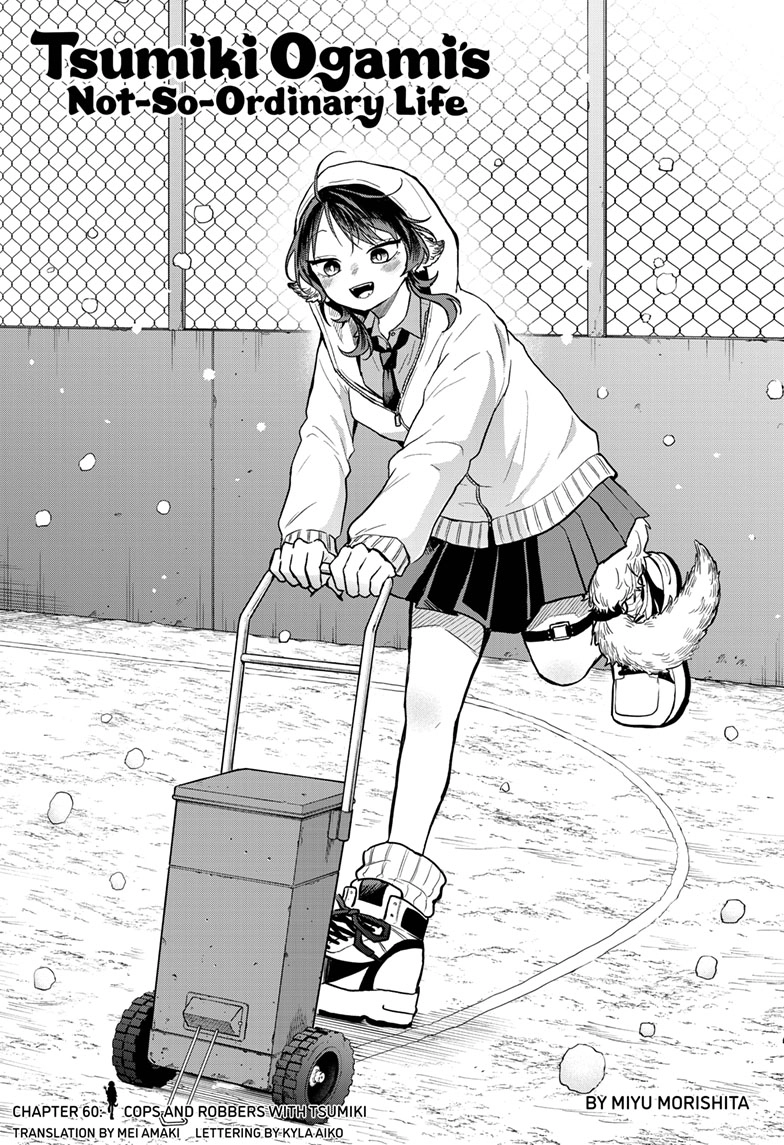 Tsumiki Ogami