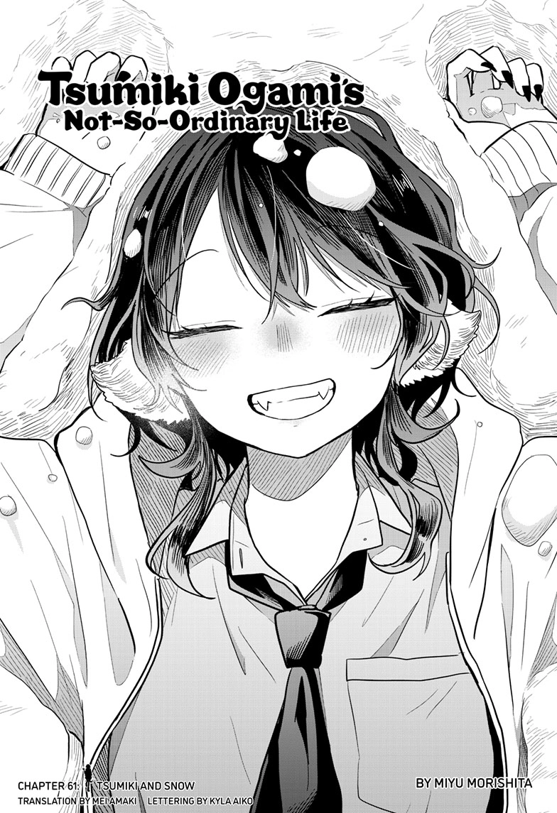Tsumiki Ogami
