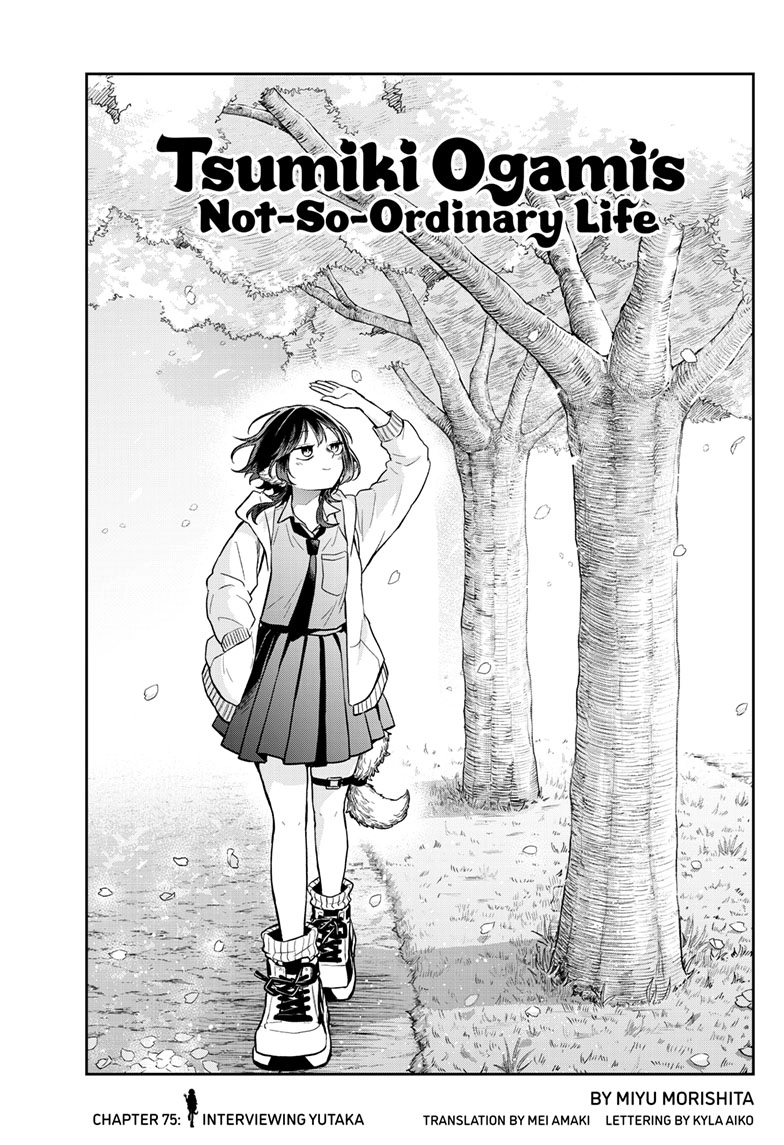 Tsumiki Ogami