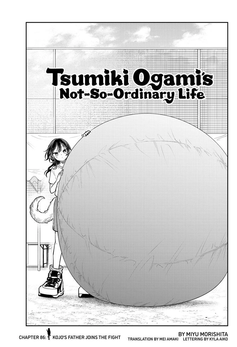 Tsumiki Ogami
