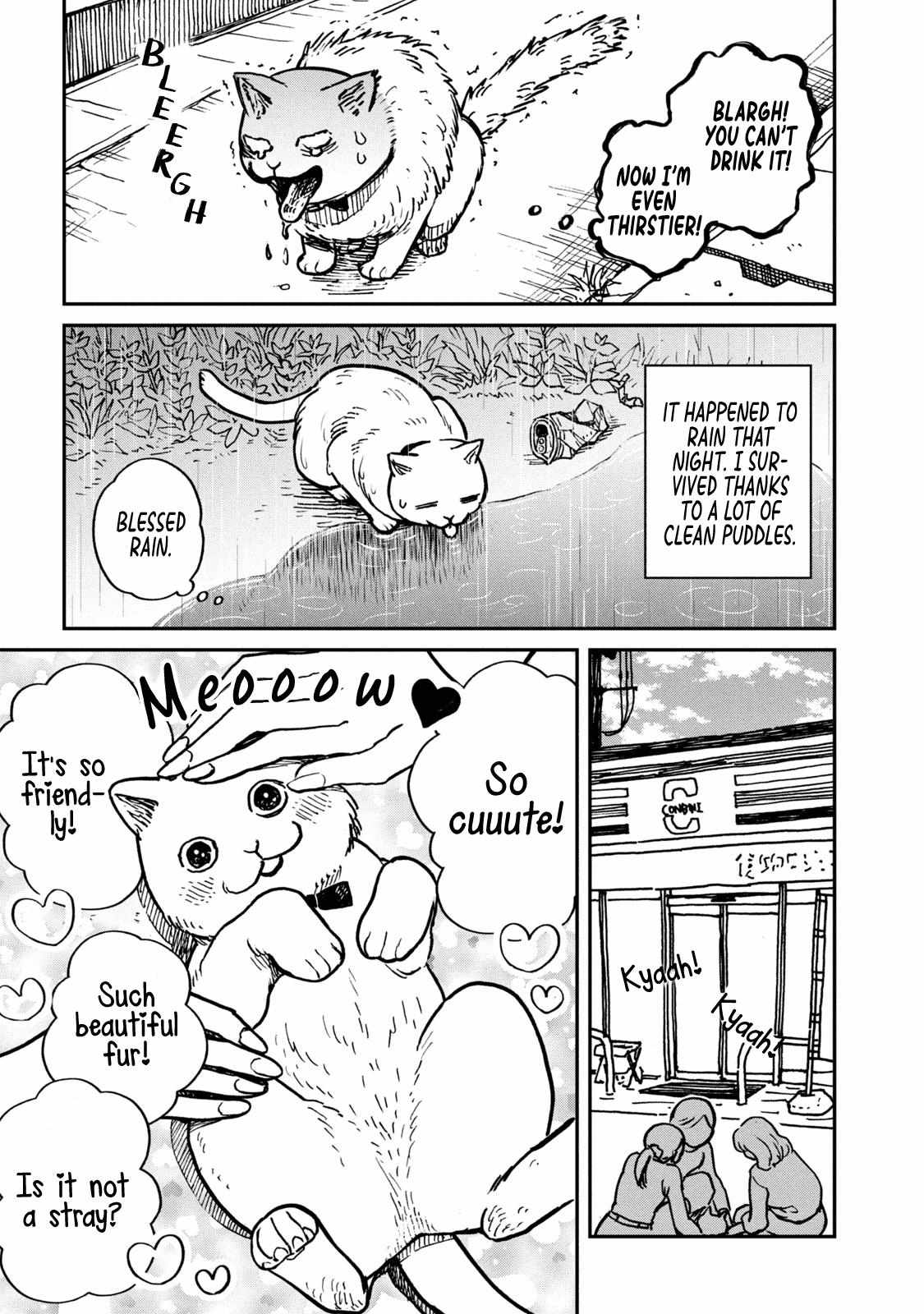 Tsureneko: Maruru to Hachi Chapter 1 page 13 - 
