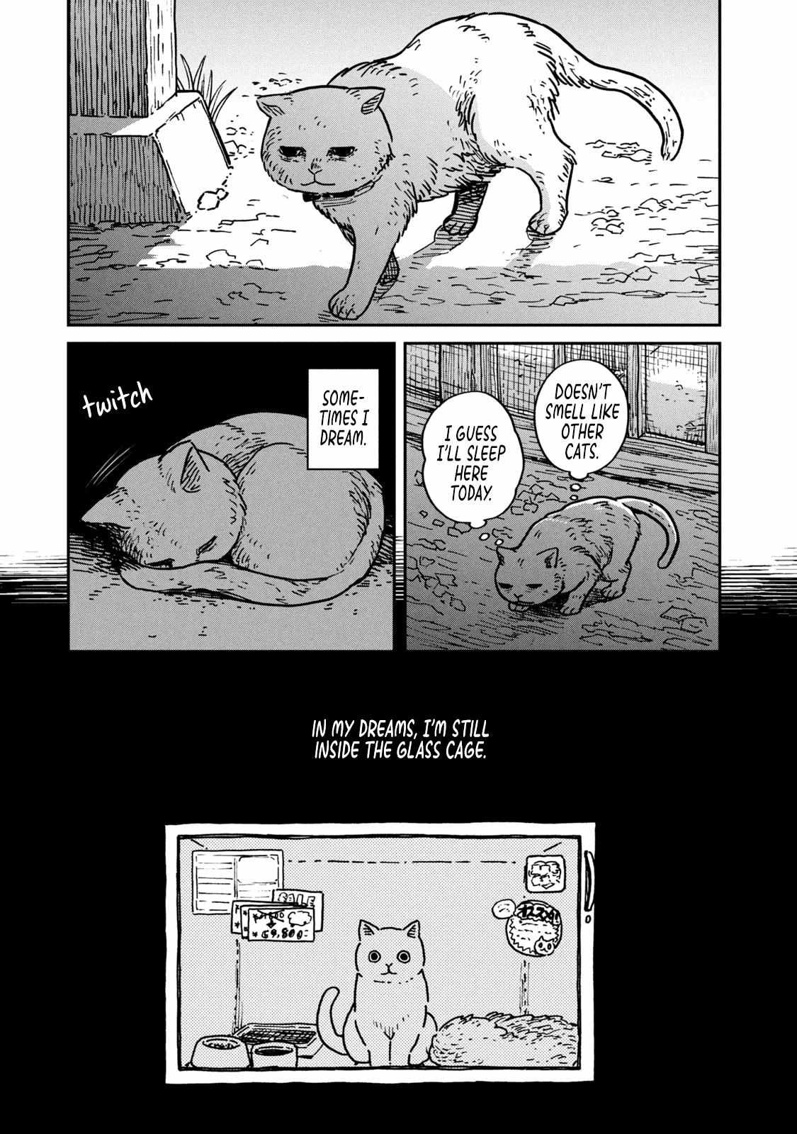 Tsureneko: Maruru to Hachi Chapter 1 page 15 - 