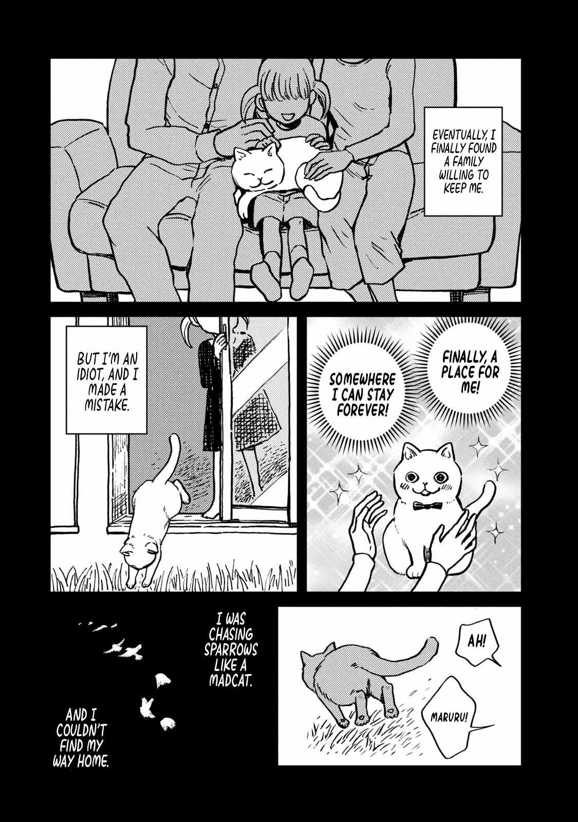 Tsureneko: Maruru to Hachi Chapter 1 page 17 - 