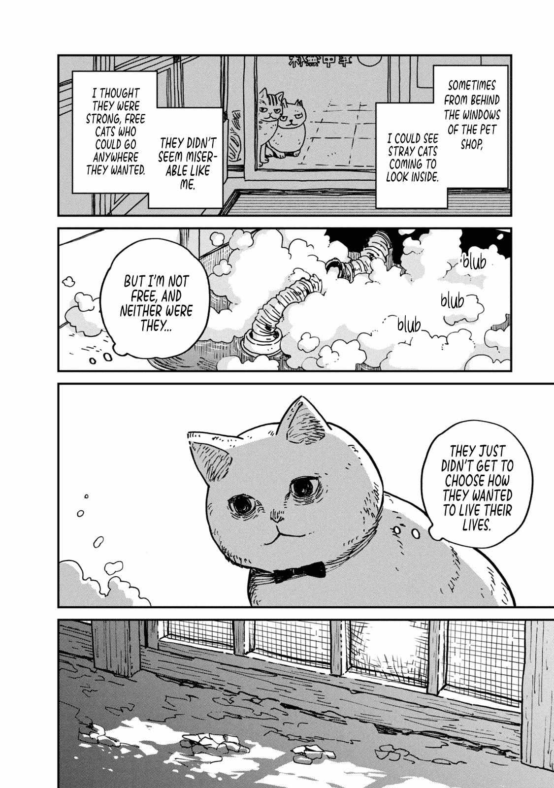 Tsureneko: Maruru to Hachi Chapter 1 page 26 - 