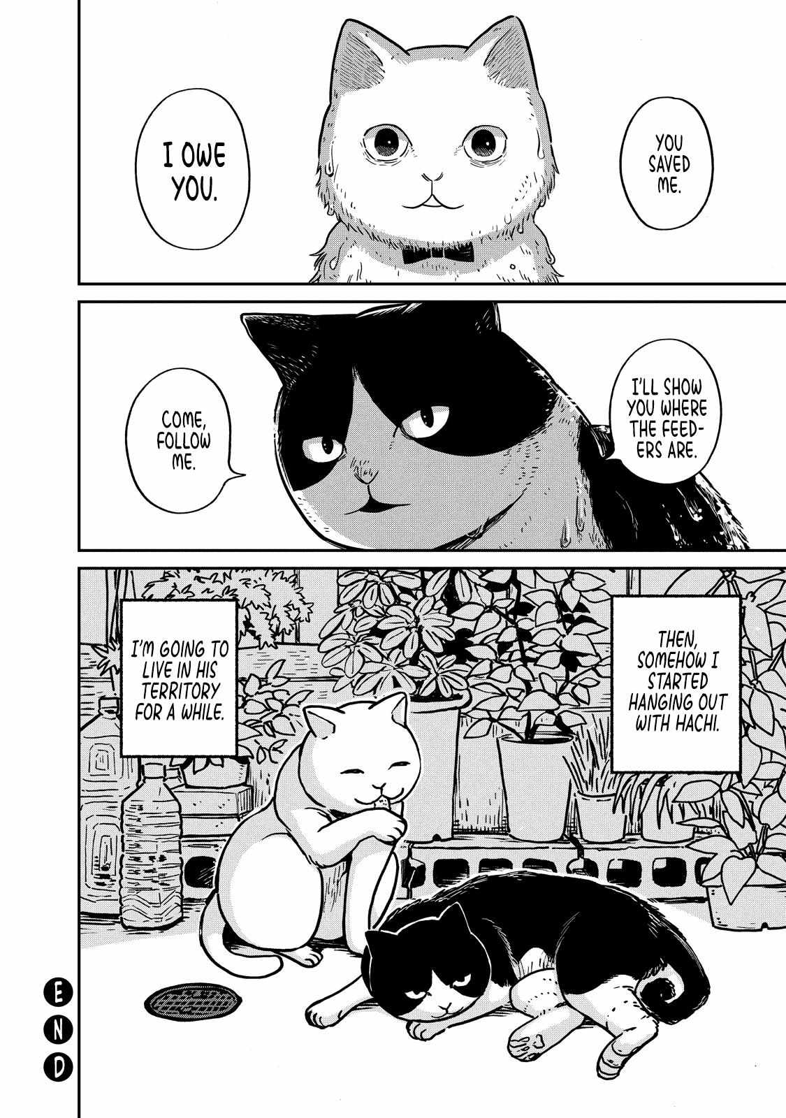 Tsureneko: Maruru to Hachi Chapter 1 page 34 - 