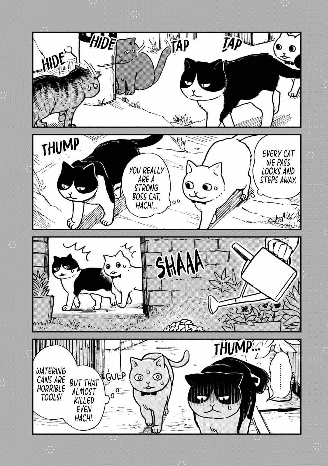Tsureneko: Maruru to Hachi Chapter 1 page 36 - 