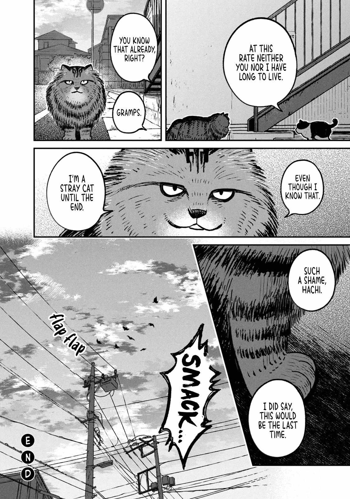 Tsureneko: Maruru to Hachi Chapter 10 page 12 - 