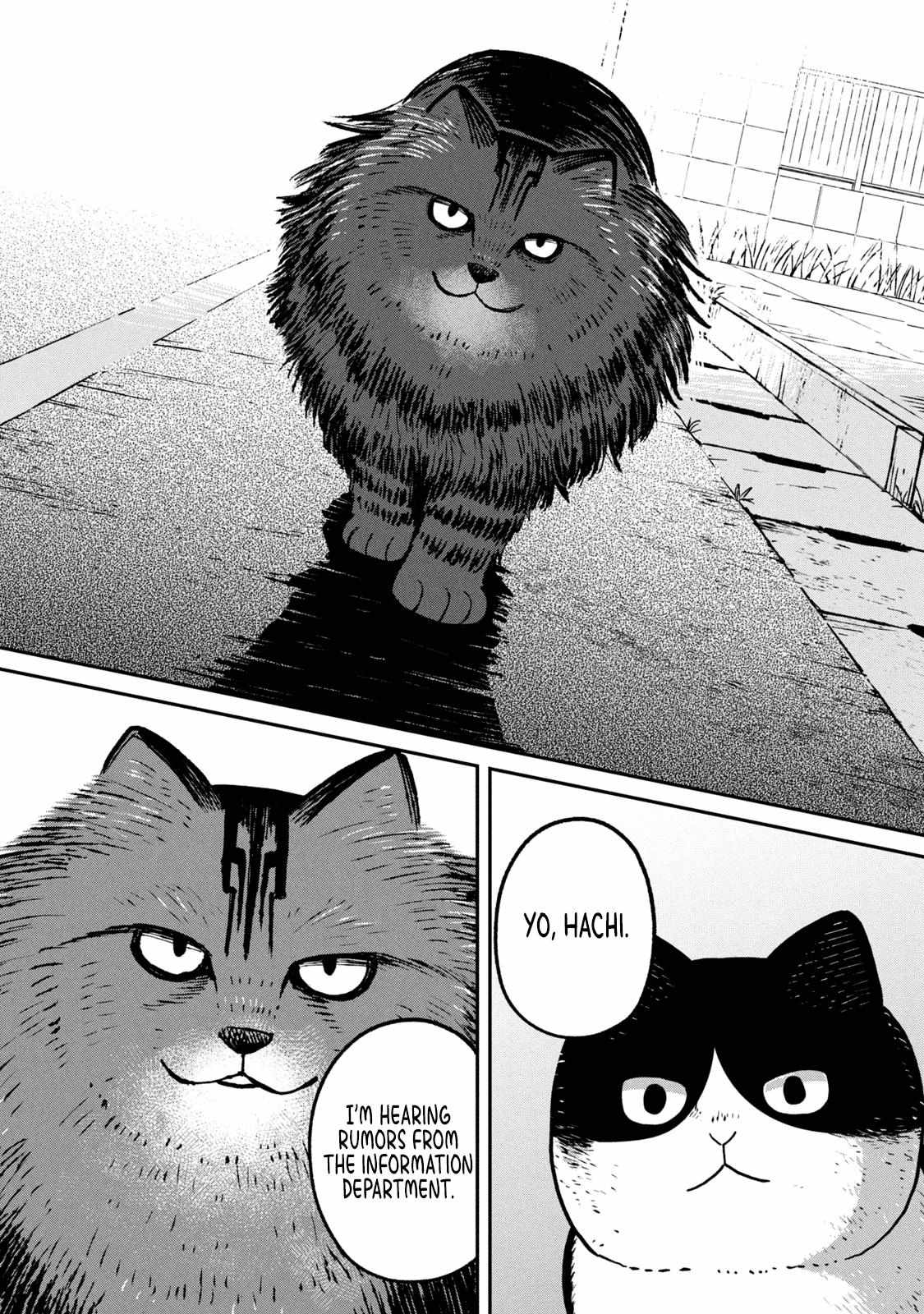 Tsureneko: Maruru to Hachi Chapter 10 page 10 - 