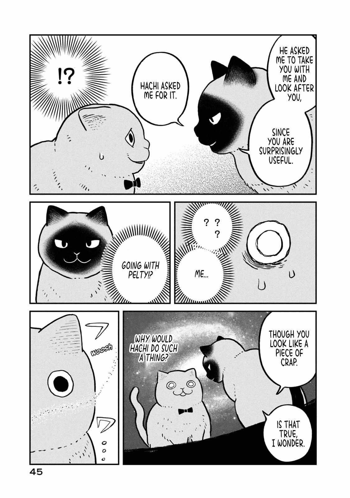 Tsureneko: Maruru to Hachi Chapter 11 page 11 - 