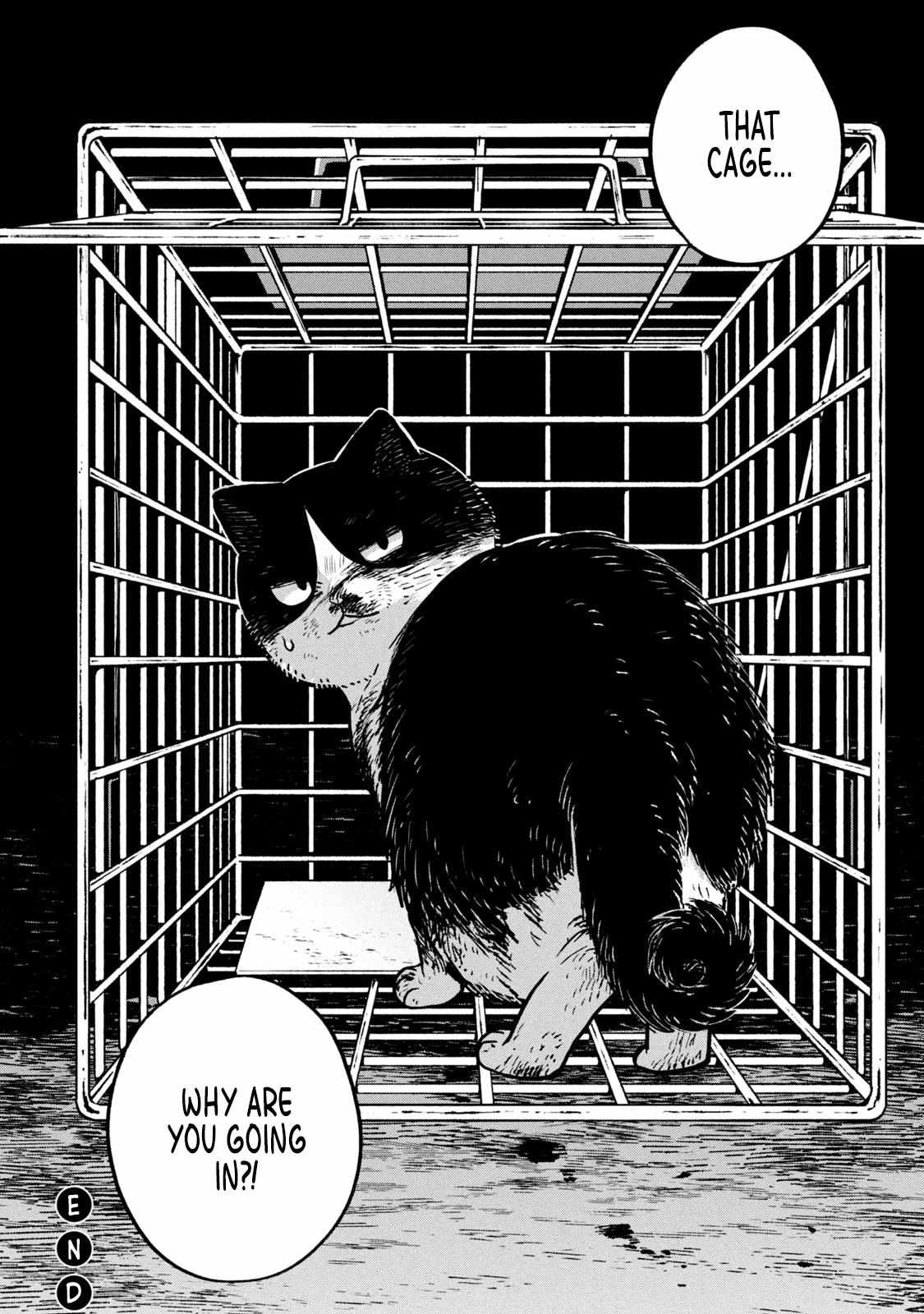 Tsureneko: Maruru to Hachi Chapter 11 page 14 - 