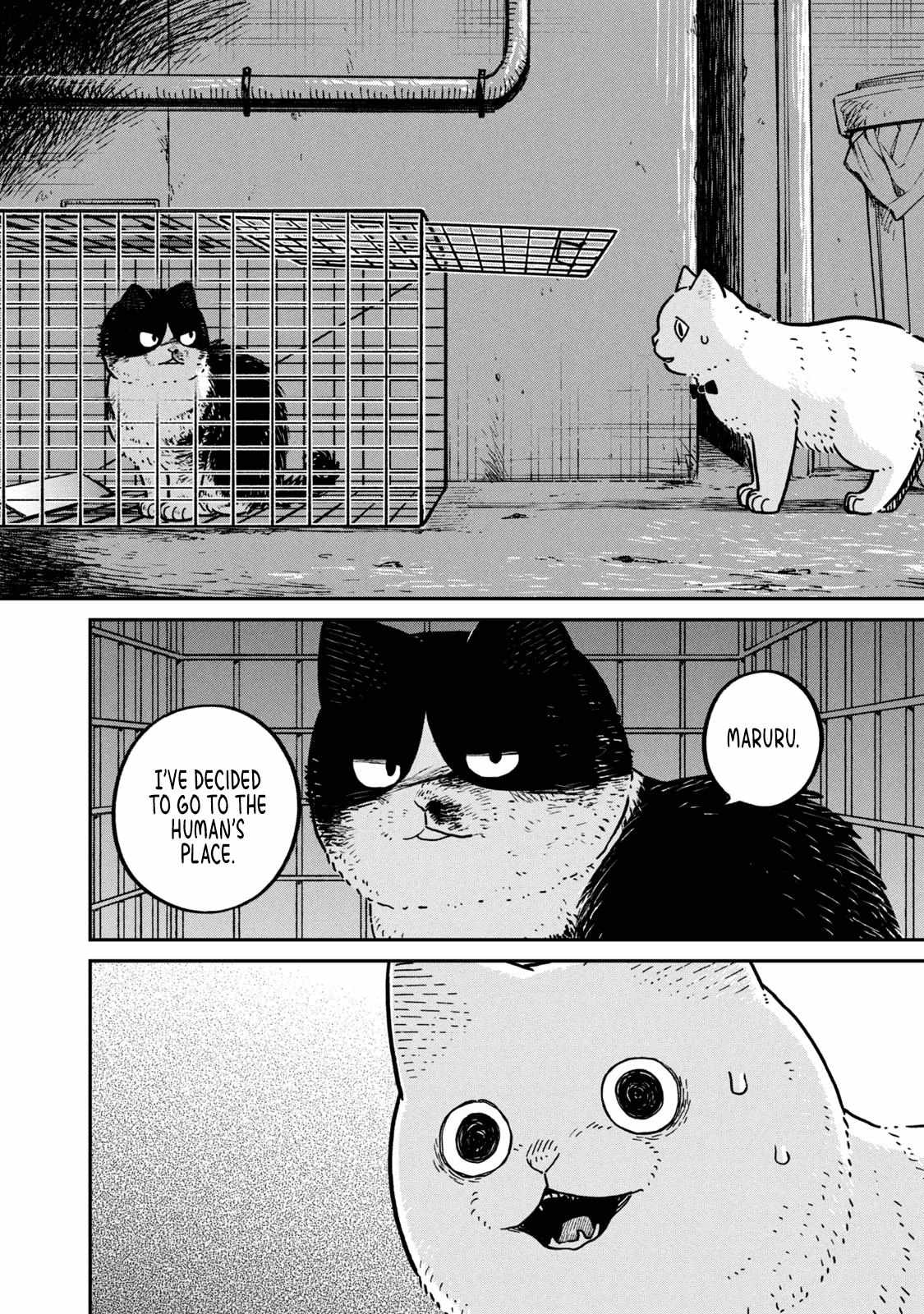 Tsureneko: Maruru to Hachi Chapter 12 page 3 - 