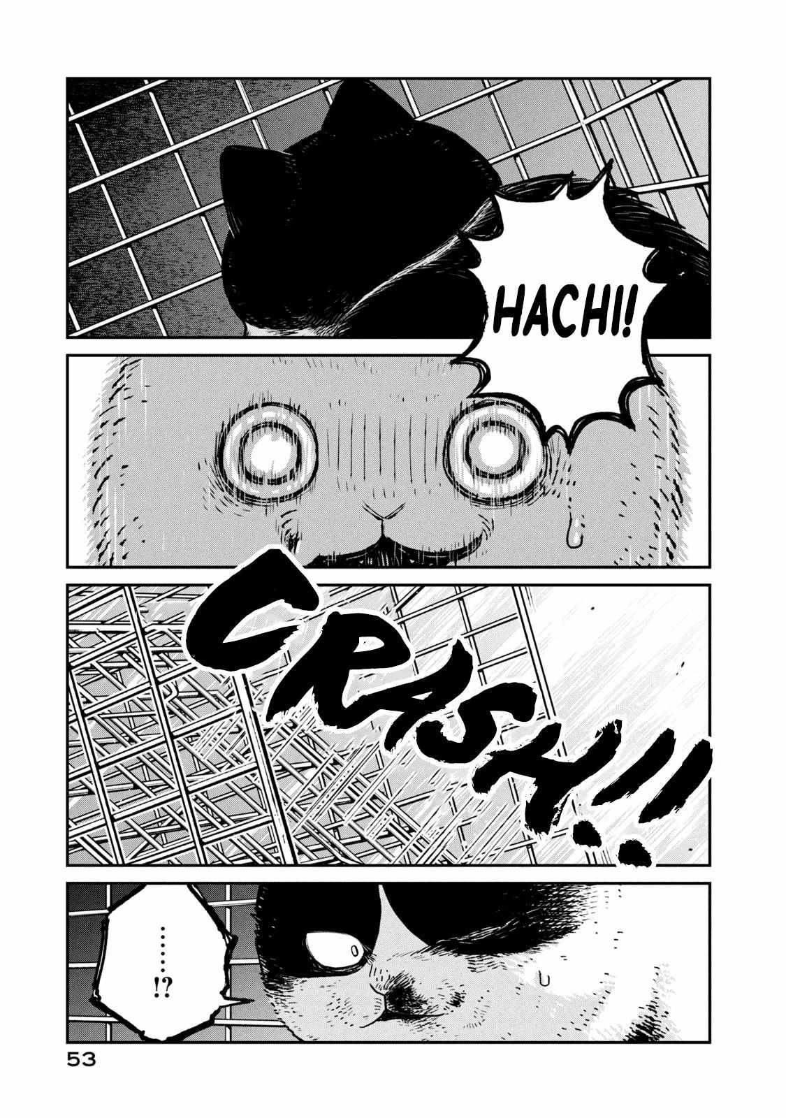 Tsureneko: Maruru to Hachi Chapter 12 page 6 - 