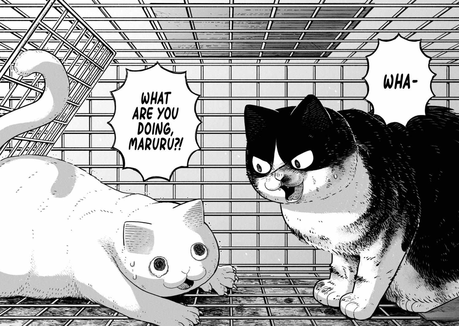 Tsureneko: Maruru to Hachi Chapter 12 page 7 - 