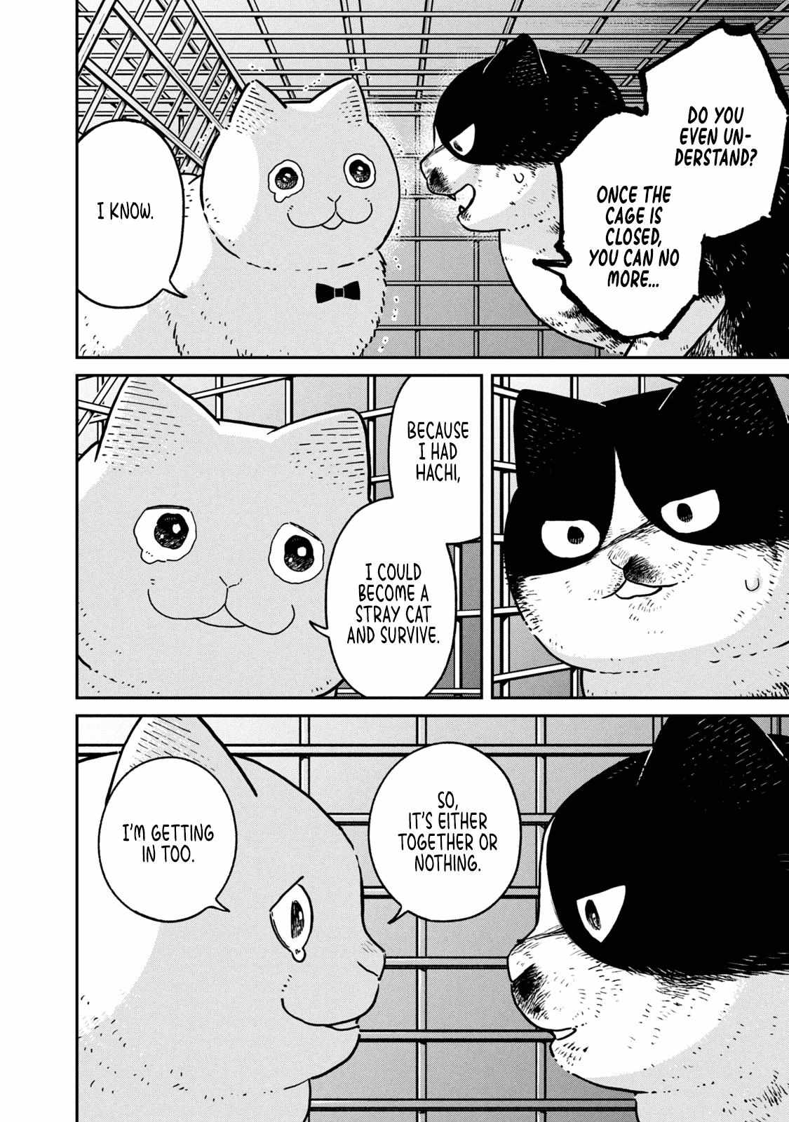 Tsureneko: Maruru to Hachi Chapter 12 page 8 - 